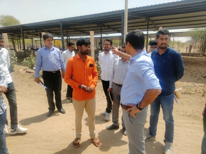 जिला कलक्टर यादव ने गिडा पहुंच किया जल जीवन मिशन के कार्यों का अवलोकन, गौशालाओं का लिया जायजा, पेयजल आपूर्ति सुचारू करने के लिए फील्ड स्टाफ निरंतर निगरानी रखें - जिला कलक्टर IMG 20250417 WA0008