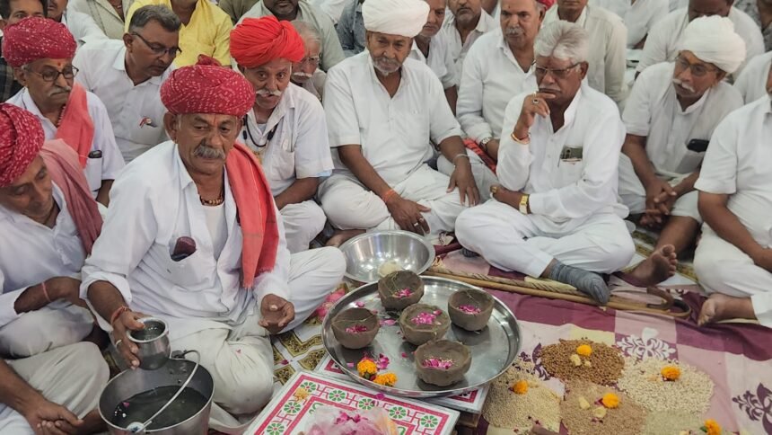 बालोतरा में मनाया हरियाली अमावस्या पर्वबुजुर्गों ने परंपरागत रस्मों के बीच बारिश और फसलों का पूर्वानुमान लगाया IMG 20250427 WA0025