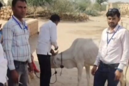 जैसलमेर में 'कर्रा रोग' का कहर जारी: 500 से अधिक गोवंश काल का ग्रास, गांव-गांव पसरा मातम, सरकार और विशेषज्ञ टीमें अलर्ट पर IMG 20250506 232520