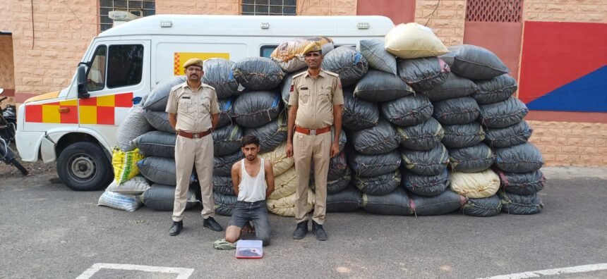 बालोतरा पुलिस की बड़ी कार्रवाई: एम्बुलेंस से भारी मात्रा में डोडा बरामद, एक तस्कर गिरफ्तार IMG 20250614 WA0057