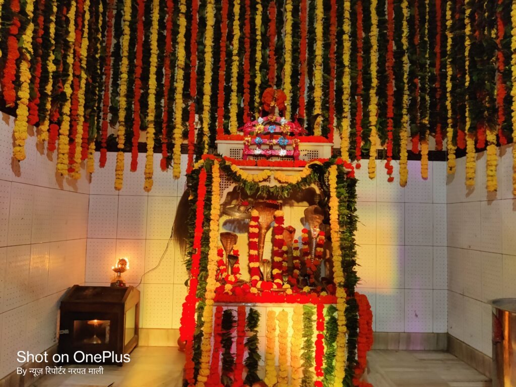 तिलवाड़ा के भडकोट मंदिर में गूंजे भजनों की स्वर लहरियाँ, गोगाजी व जगमाल जी महाराज के नाम भव्य भजन संध्या का आयोजन 1001344879