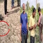 बायतु में चार दिन से बिजली गुल, 200 से अधिक परिवार अंधेरे में, विभागीय लापरवाही पर ग्रामीणों में रोष IMG 20250911 WA0053