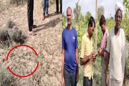 बायतु में चार दिन से बिजली गुल, 200 से अधिक परिवार अंधेरे में, विभागीय लापरवाही पर ग्रामीणों में रोष IMG 20250911 WA0053