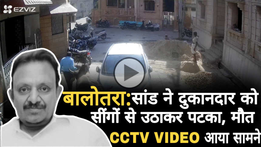 Balotra News: सांड ने दुकानदार को सींगों से उठाकर पटका, इलाज के दौरान मौत; CCTV VIDEO आया सामने 1 Balotra News: सांड ने दुकानदार को सींगों से उठाकर पटका, इलाज के दौरान मौत; CCTV VIDEO आया सामने Picsart 25 09 15 08 01 47 666
