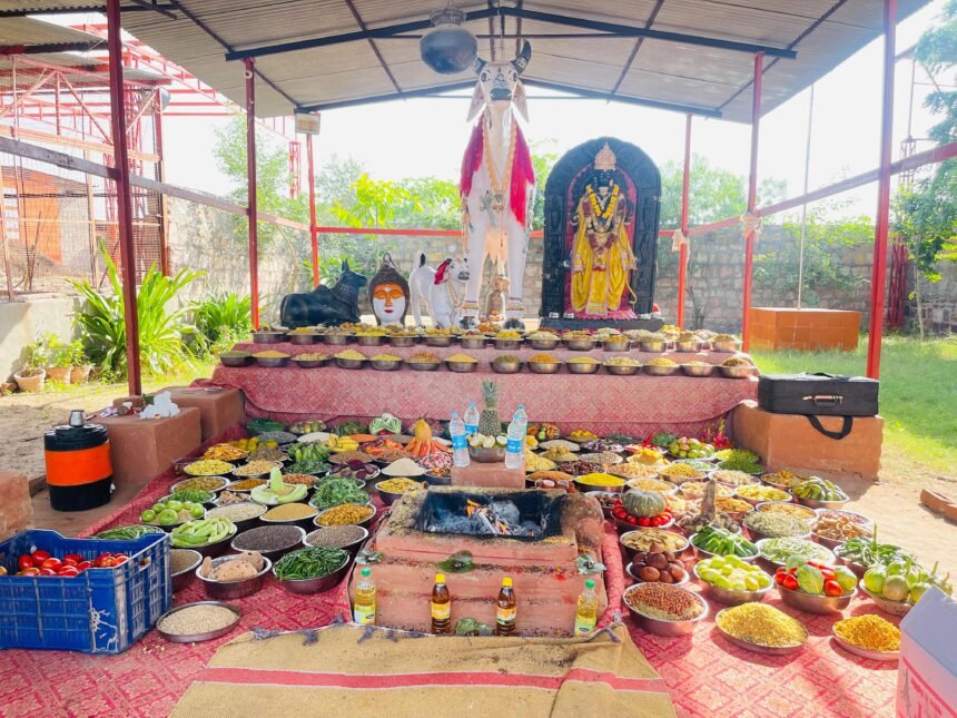 अन्नपूर्णा गौशाला में 156 व्यंजनों से निर्मित अनोखा कामधेनु अन्नकूट महोत्सव आयोजित IMG 20251106 WA00581