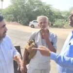 RAS अधिकारी ने आरएलपी नेता को गाली दी, कहासुनी बढ़ी तो बोला- पहले इसका इलाज करो; हाईवे से अतिक्रमण हटाने पहुंचे थे IMG 20251113 21532692