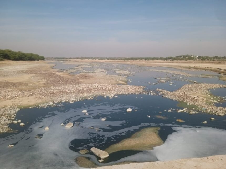 प्रदूषित पानी से मल्लीनाथ पशु मेला मैदान पर संकट 1 प्रदूषित पानी से मल्लीनाथ पशु मेला मैदान पर संकट IMG 20260116 WA00091