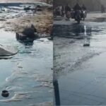 आरएसपीसीबी मुख्यालय के निर्देश, 28 फरवरी तक ईटीपी-ज़ेडएलडी इकाइयों को देनी होगी अनुपालन रिपोर्ट, सड़कों पर बहता प्रदूषित पानी बना चिंता का कारण IMG 20260118 WA00311