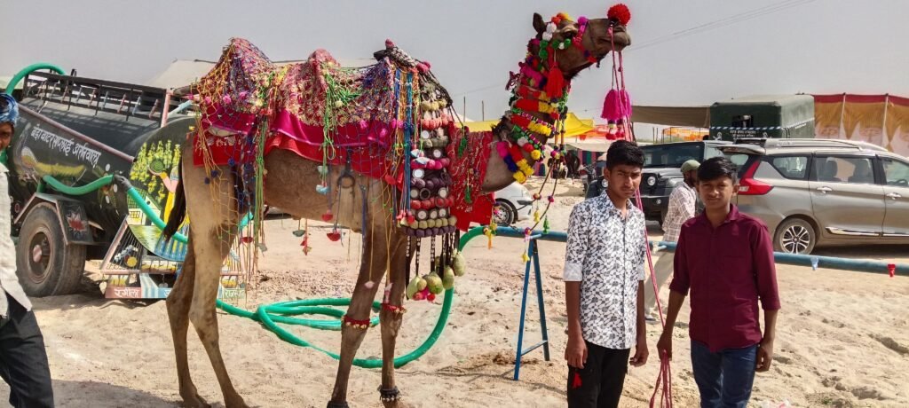 ध्वजारोहण के साथ विधिवत शुरू हुआ श्री मल्लीनाथ पशु मेला तिलवाड़ा, विधिवत पूजा-अर्चना कर उद्योग एवं वाणिज्य राज्यमंत्री कृष्ण कुमार विश्नोई ने किया ध्वजारोह 6 ध्वजारोहण के साथ विधिवत शुरू हुआ श्री मल्लीनाथ पशु मेला तिलवाड़ा, विधिवत पूजा-अर्चना कर उद्योग एवं वाणिज्य राज्यमंत्री कृष्ण कुमार विश्नोई ने किया ध्वजारोह 1002170679