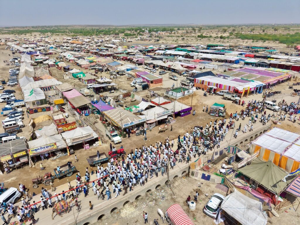 तिलवाड़ा में मारवाड़ी अश्व प्रतियोगिताओं का भव्य आयोजन, 700 वर्षों पुरानी परंपरा को मिला अंतरराष्ट्रीय विस्तार 1002182709