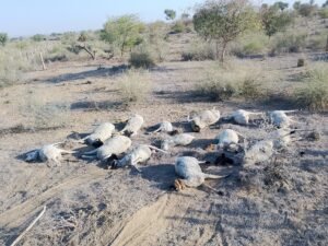 Home IMG 20260308 WA0076