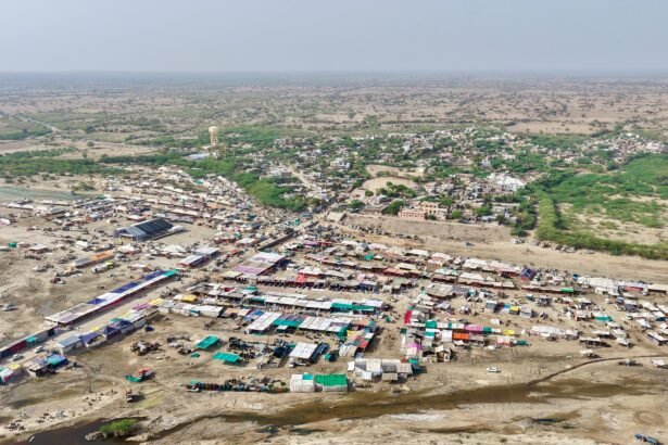 तिलवाड़ा में मारवाड़ी अश्व प्रतियोगिताओं का भव्य आयोजन, 700 वर्षों पुरानी परंपरा को मिला अंतरराष्ट्रीय विस्तार IMG 20260318 WA0051