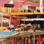 15 मार्च से श्री मल्लीनाथ पशु मेले का शुभारंभ तिलवाड़ा में बढ़ी रौनक, दूर-दराज से पशुपालकों के साथ पशुओं की आवक शुरू IMG 20260313 113741