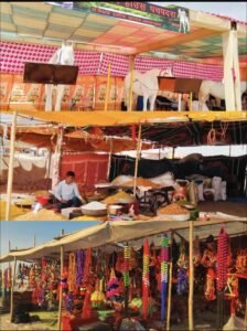 Home IMG 20260313 113741