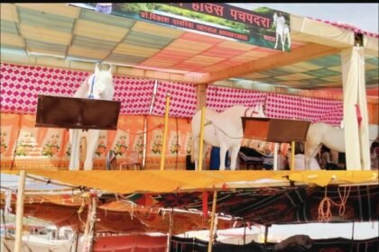 15 मार्च से श्री मल्लीनाथ पशु मेले का शुभारंभ तिलवाड़ा में बढ़ी रौनक, दूर-दराज से पशुपालकों के साथ पशुओं की आवक शुरू IMG 20260313 113741