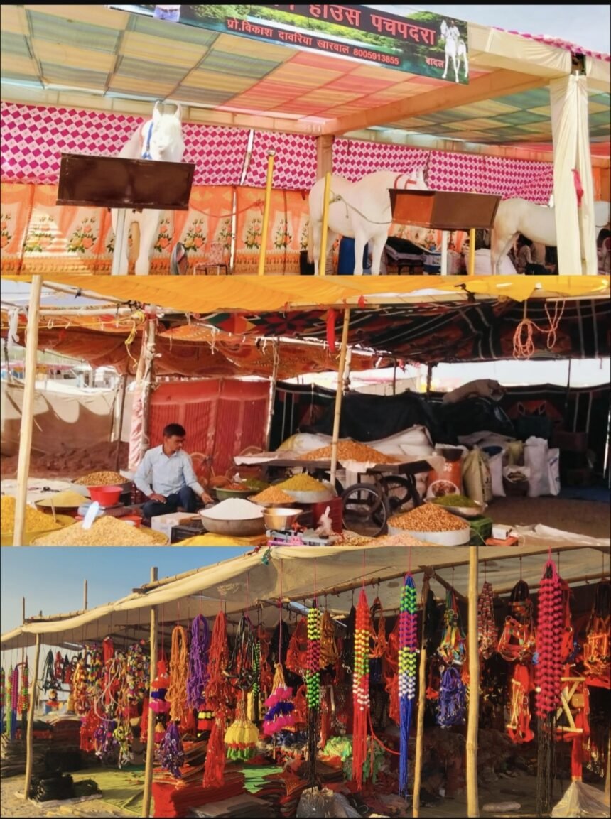 15 मार्च से श्री मल्लीनाथ पशु मेले का शुभारंभ तिलवाड़ा में बढ़ी रौनक, दूर-दराज से पशुपालकों के साथ पशुओं की आवक शुरू IMG 20260313 113741